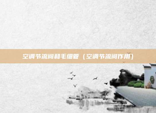 空调节流阀和毛细管（空调节流阀作用）