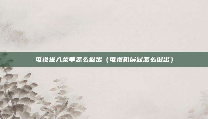 电视进入菜单怎么退出（电视机屏显怎么退出）