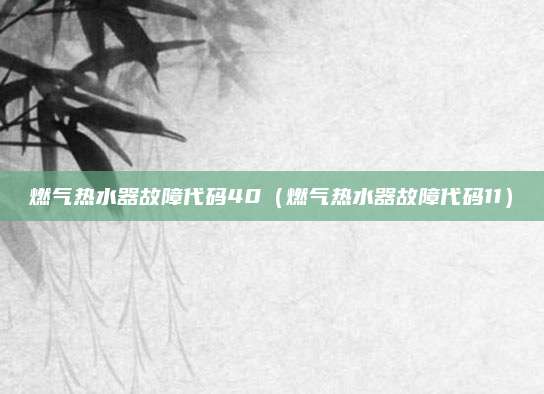 燃气热水器故障代码40（燃气热水器故障代码11）
