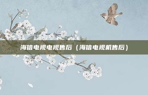 海信电视电视售后(海信电视机售后)