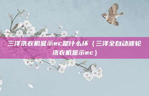三洋洗衣机显示ec是什么坏（三洋全自动波轮洗衣机显示ec）