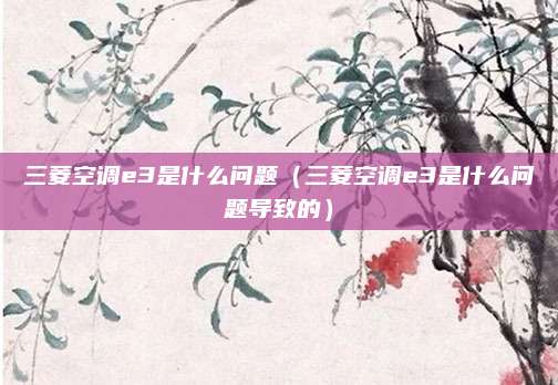 三菱空调e3是什么问题（三菱空调e3是什么问题导致的）