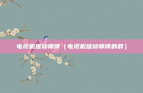 电视机维修师傅(电视机维修师傅的群)