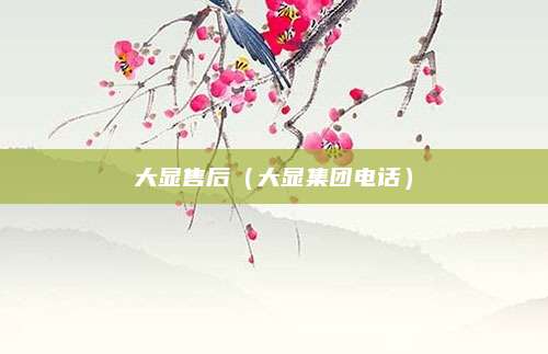大显售后(大显集团电话)