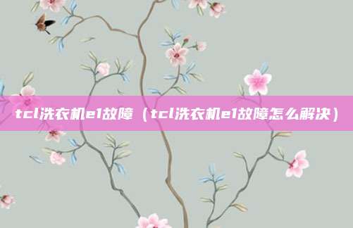 tcl洗衣机e1故障（tcl洗衣机e1故障怎么解决）