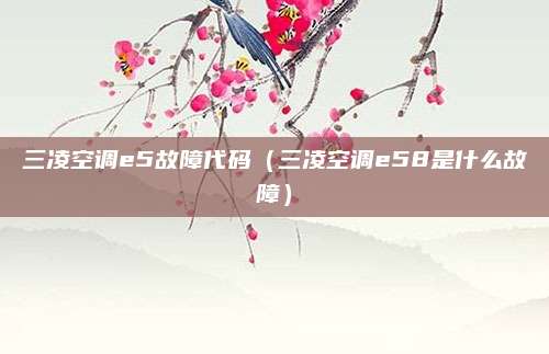 三凌空调e5故障代码（三凌空调e58是什么故障）