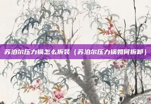 苏泊尔压力锅怎么拆装(苏泊尔压力锅如何拆卸)