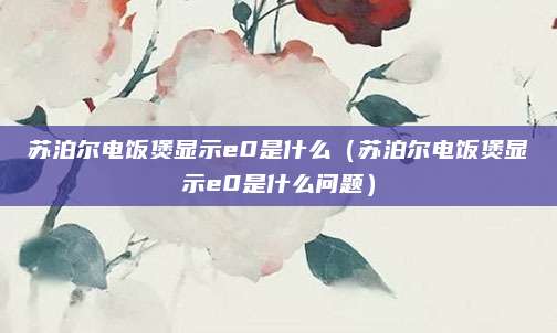 苏泊尔电饭煲显示e0是什么(苏泊尔电饭煲显示e0是什么问题)