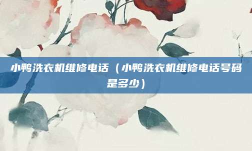 小鸭洗衣机维修电话（小鸭洗衣机维修电话号码是多少）