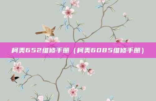 柯美652维修手册（柯美6085维修手册）