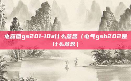 电器图gs201-10a什么意思（电气gsh202是什么意思）