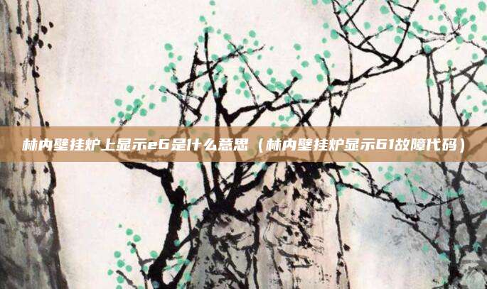 林内壁挂炉上显示e6是什么意思（林内壁挂炉显示61故障代码）
