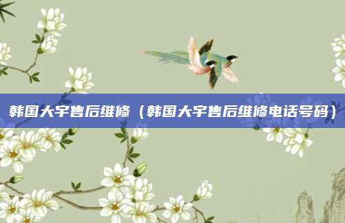 韩国大宇售后维修（韩国大宇售后维修电话号码）