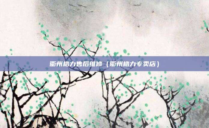 衢州格力售后维修（衢州格力专卖店）