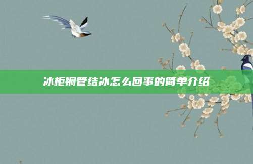 冰柜铜管结冰怎么回事的简单介绍