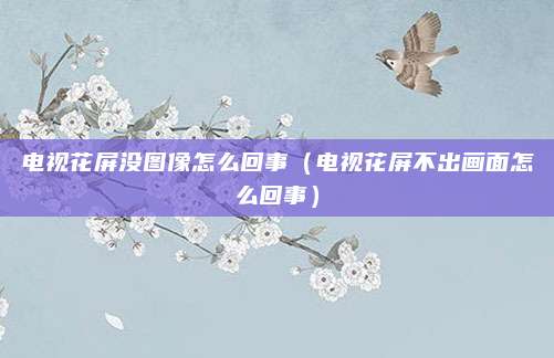 电视花屏没图像怎么回事(电视花屏不出画面怎么回事)