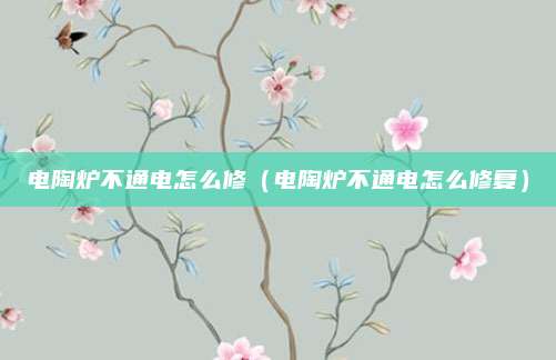 电陶炉不通电怎么修(电陶炉不通电怎么修复)