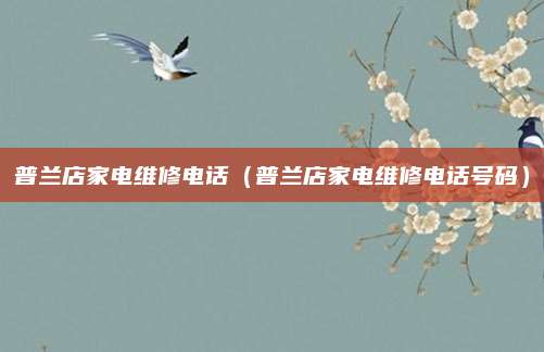 普兰店家电维修电话(普兰店家电维修电话号码)