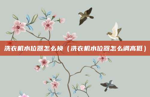 洗衣机水位器怎么换(洗衣机水位器怎么调高低)
