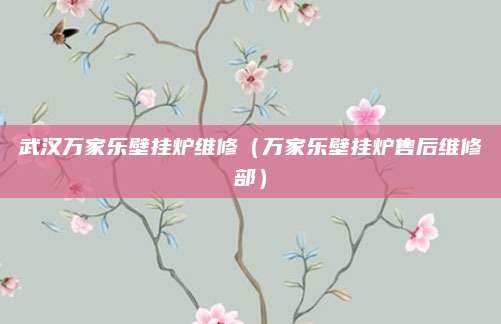武汉万家乐壁挂炉维修(万家乐壁挂炉售后维修部)