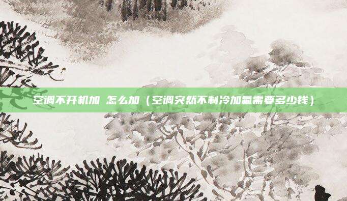 空调不开机加坲怎么加(空调突然不制冷加氟需要多少钱)
