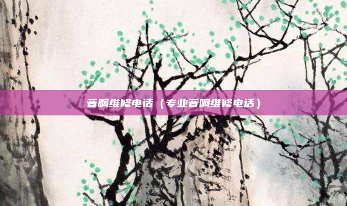 音响维修电话(专业音响维修电话)