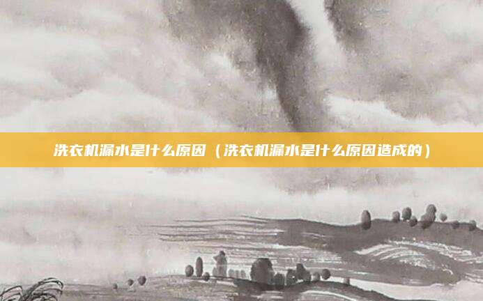 洗衣机漏水是什么原因(洗衣机漏水是什么原因造成的)