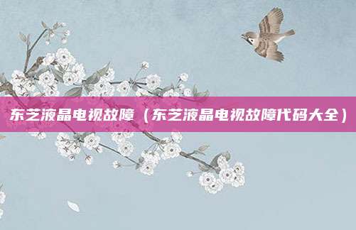 东芝液晶电视故障(东芝液晶电视故障代码大全)