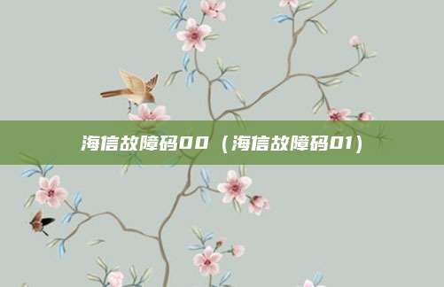 海信故障码00(海信故障码01)