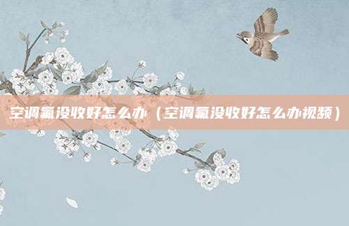 空调氟没收好怎么办(空调氟没收好怎么办视频)
