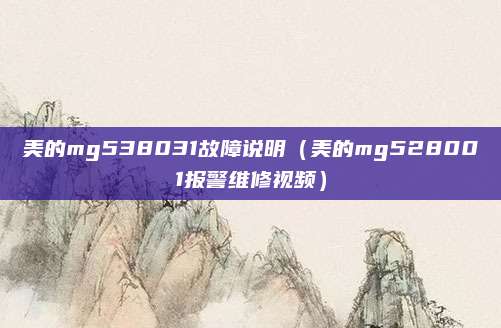美的mg538031故障说明(美的mg528001报警维修视频)