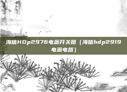 海信HDp2976电源开关图（海信hdp2919电源电路）