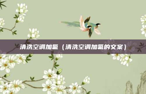 清洗空调加氟(清洗空调加氟的文案)