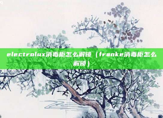 electrolux消毒柜怎么解锁(franke消毒柜怎么解锁)