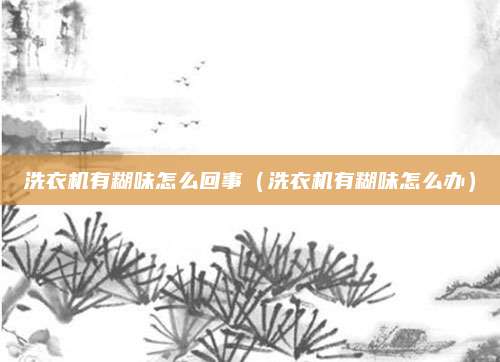 洗衣机有糊味怎么回事（洗衣机有糊味怎么办）