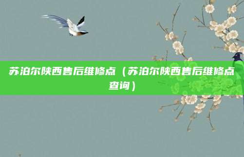 苏泊尔陕西售后维修点（苏泊尔陕西售后维修点查询）