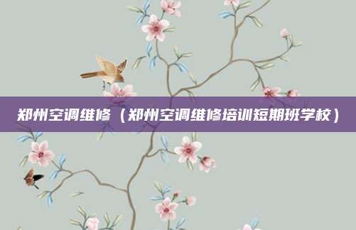 郑州空调维修（郑州空调维修培训短期班学校）