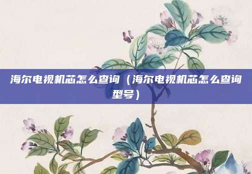 海尔电视机芯怎么查询（海尔电视机芯怎么查询型号）