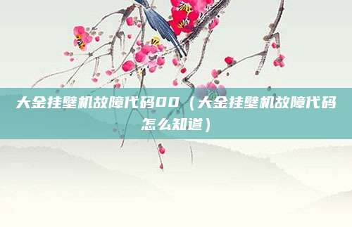 大金挂壁机故障代码00（大金挂壁机故障代码怎么知道）