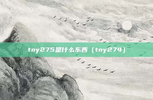 tny275是什么东西（tny274）