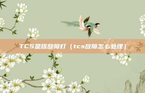 TCS是啥故障灯（tcs故障怎么处理）