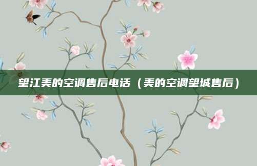 望江美的空调售后电话(美的空调望城售后)