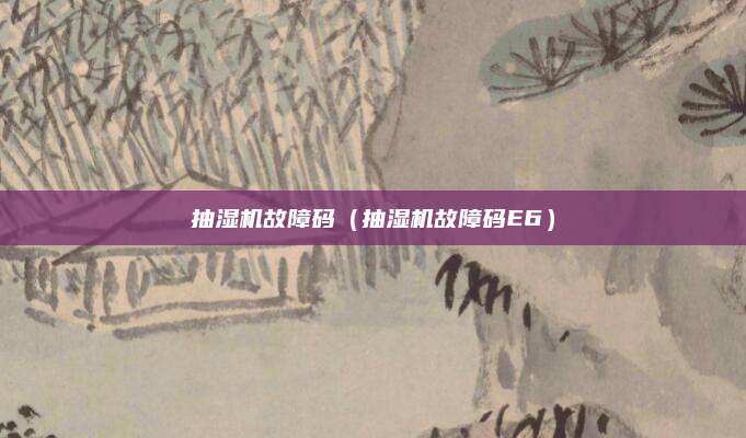 抽湿机故障码（抽湿机故障码E6）