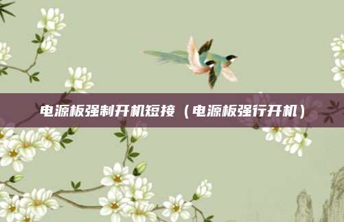 电源板强制开机短接（电源板强行开机）