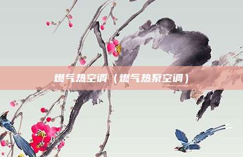 燃气热空调(燃气热泵空调)