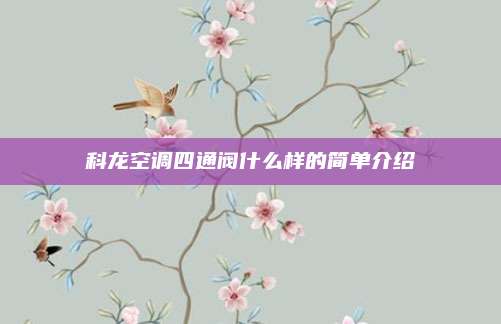 科龙空调四通阀什么样的简单介绍