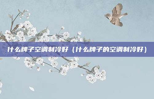 什么牌子空调制冷好（什么牌子的空调制冷好）