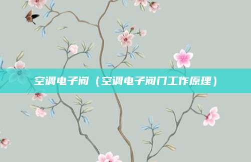 空调电子阀(空调电子阀门工作原理)