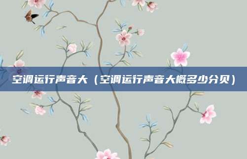 空调运行声音大（空调运行声音大概多少分贝）