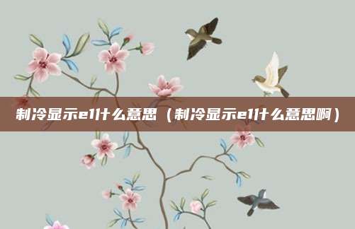 制冷显示e1什么意思（制冷显示e1什么意思啊）